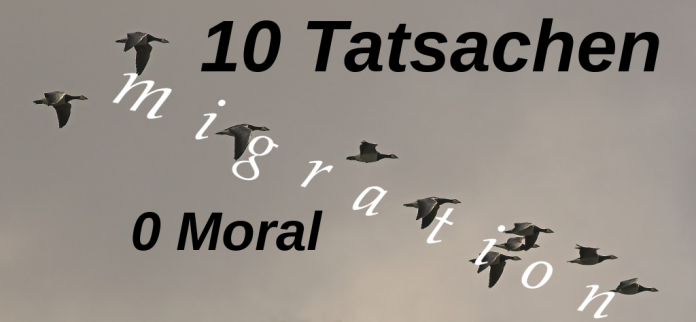 10 Tatsachen zur Migrationspolitik