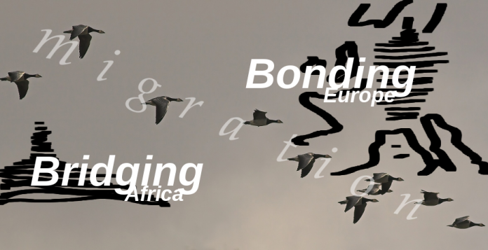 Migration 2050 Bonding Europe Briding Africa
